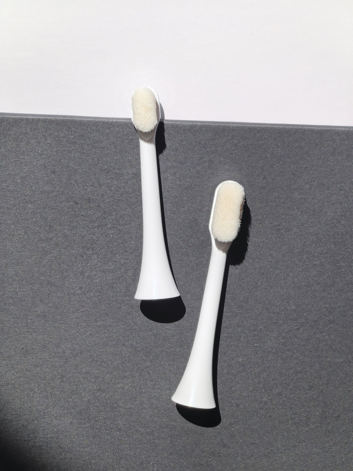 CheezCloud™ Cumulus Electric Toothbrush Head (Single Pack)