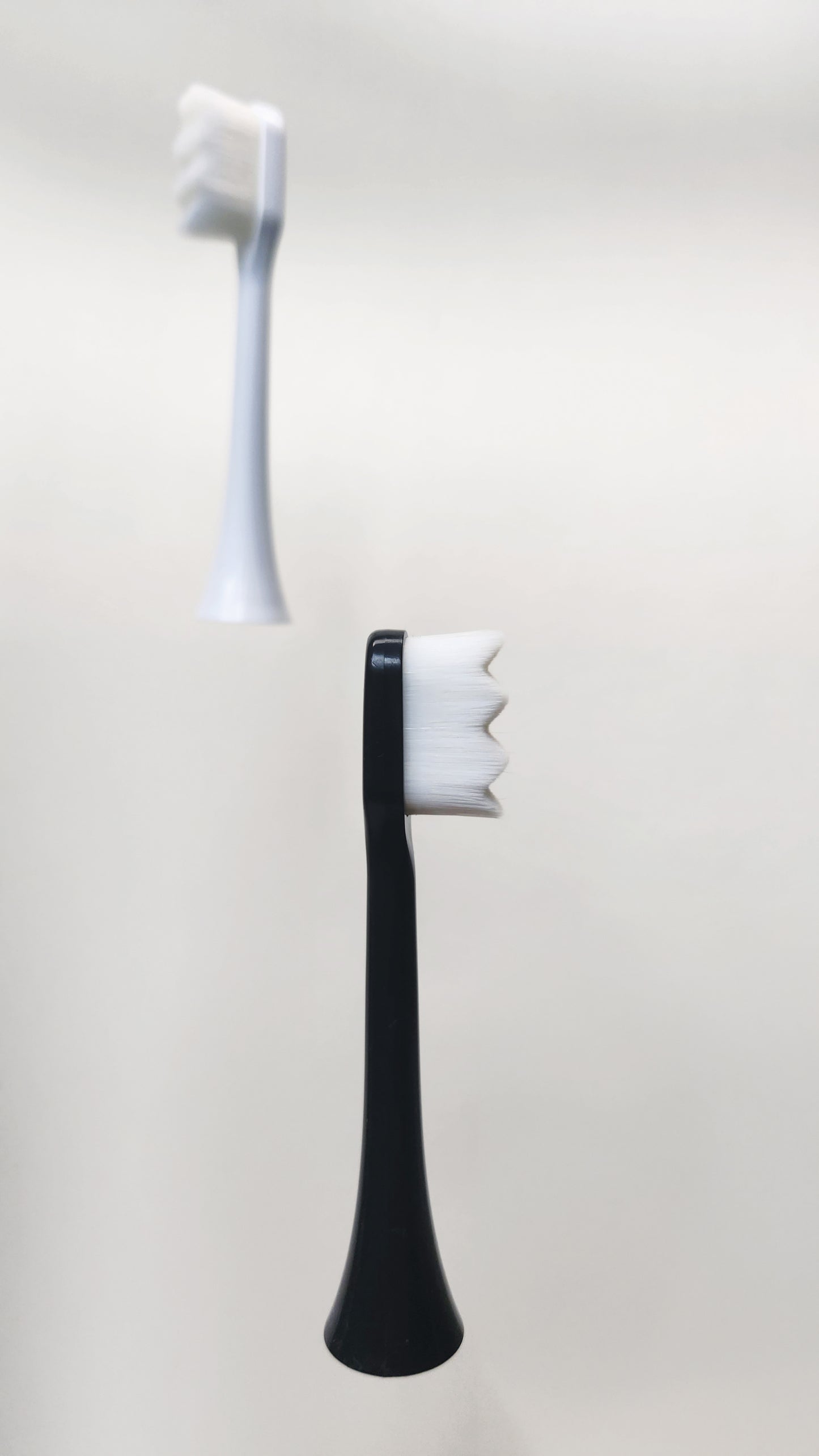 CheezCloud™ Cirrus Electric Toothbrush Head (Single Pack)